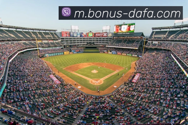 大发娱乐发展历程